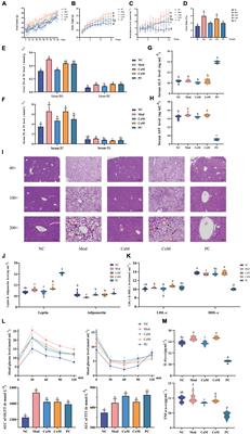 Modulatory effect of camel milk on intestinal microbiota of mice with non-alcoholic fatty liver disease